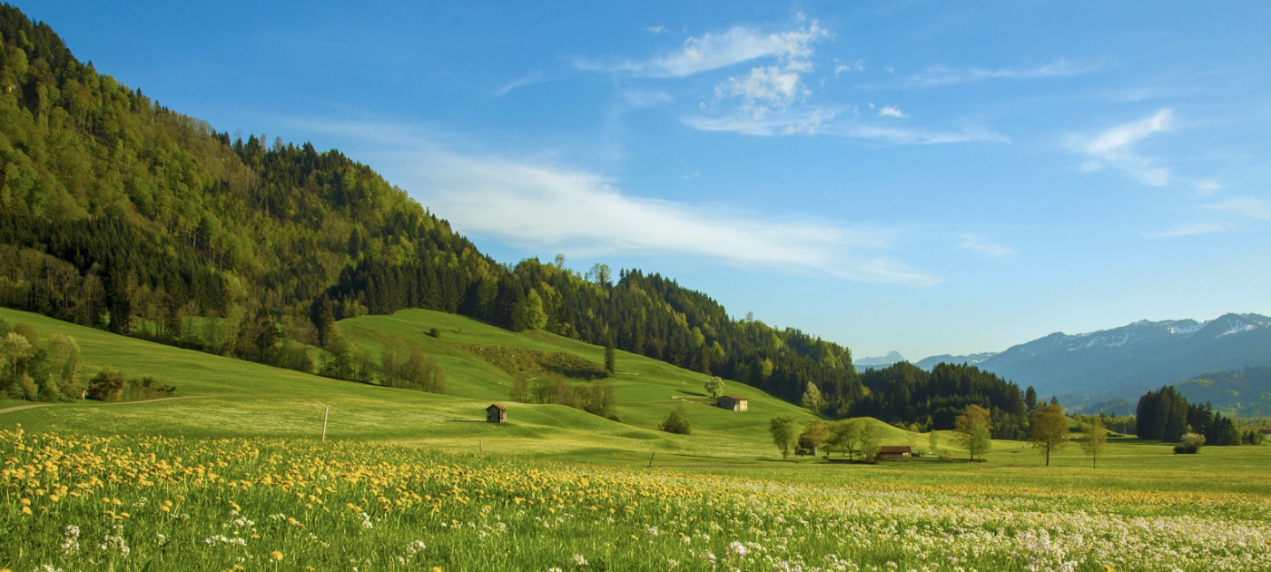 Headerbild